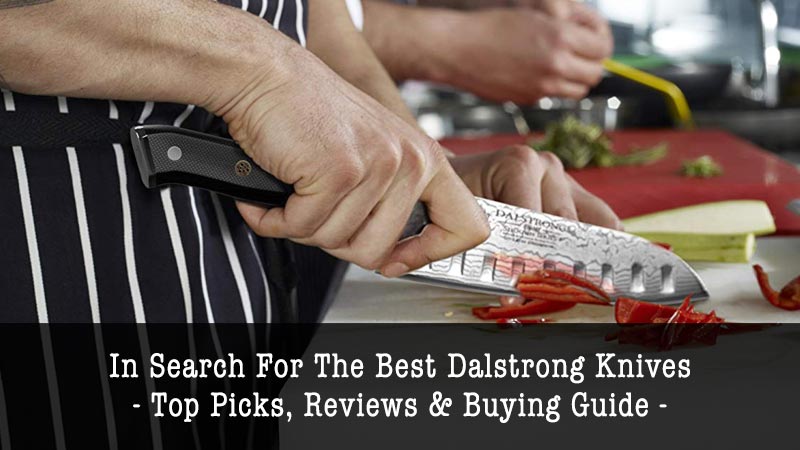 Best Dalstrong Knives
