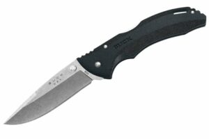 Buck Knives 286 Bantam BHW Folding Knife